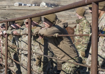 Horsing around: TACP Airmen train with pack animals in rural Idaho
