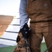 Military Working Dog Dak
