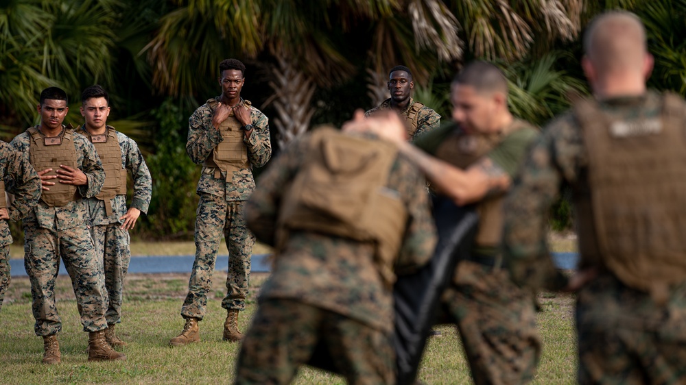 U.S. Marines enhance war-fighting capability during MPFEX 20