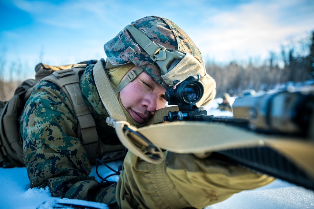 SPMAGTF-AE: Marines with 7th ESB and 2nd LAAD conduct cold weather training