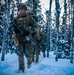 SPMAGTF-AE: Marines with 7th ESB and 2nd LAAD conduct cold weather training