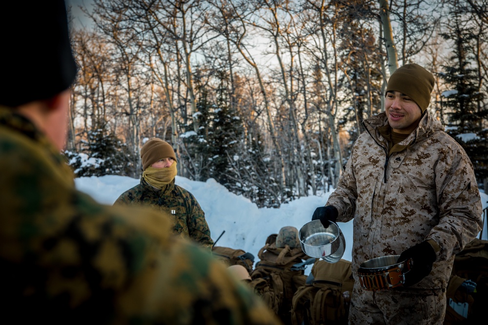 SPMAGTF-AE: Marines participate in cold weather survival training in Alaska