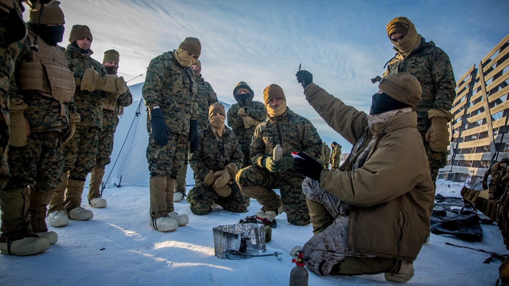 SPMAGTF-AE: Marines participate in cold weather survival training in Alaska