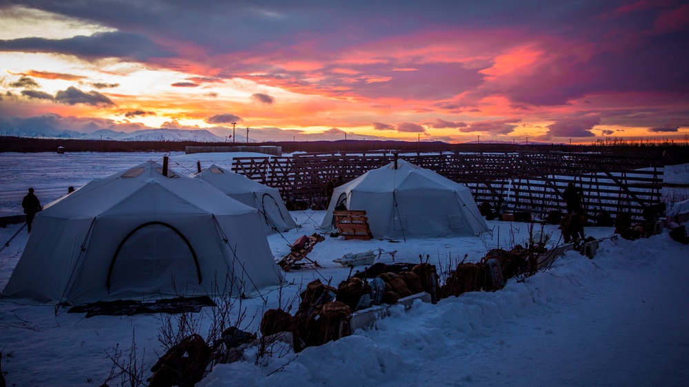 SPMAGTF-AE: Marines participate in cold weather survival training in Alaska