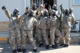 Alpha, beta, gamma oh my!