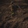 Trekking through Camp Shelby