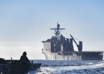 Sailors and Marines Train Alongside Japanese Soldiers During Exercise Iron Fist 2020