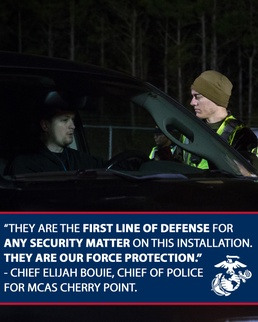 On the Job: Gate Sentries