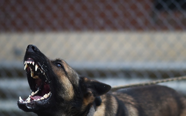 3N0X6 Training photo (TNG)