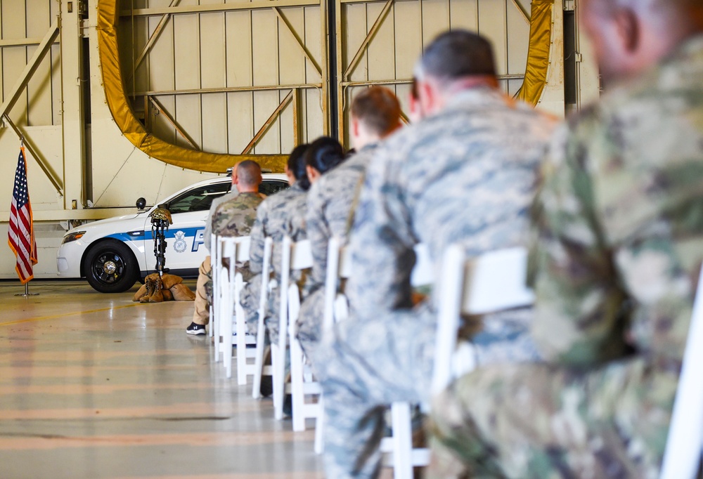 3N0X6 Picture Story (PST)