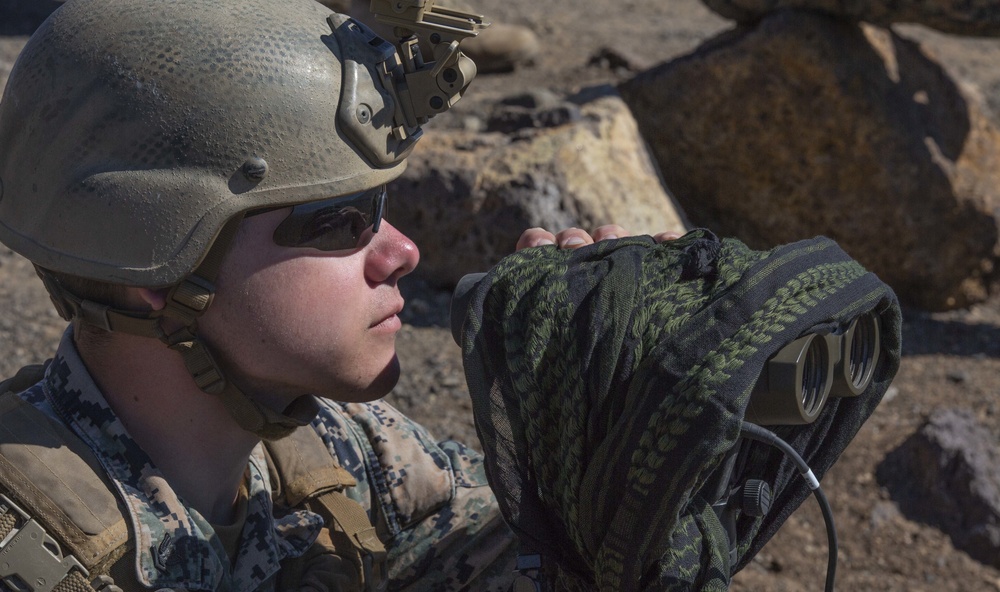 Iron Fist 2020: US Marines and JGSDF soldiers visit SCI for FIREX