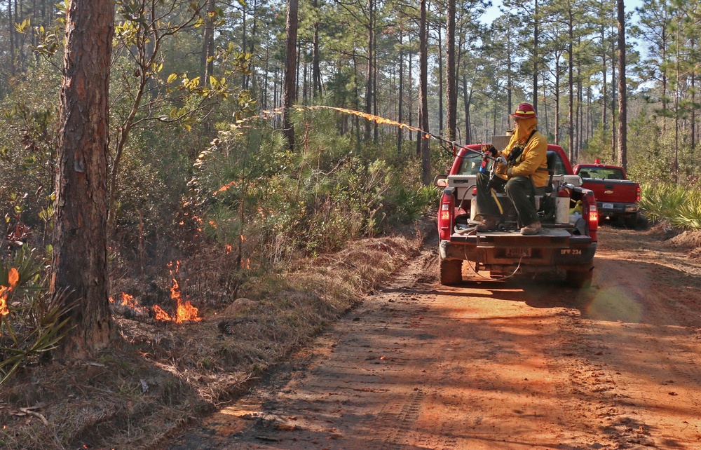 Controlled burns improve training areas, habitats, prevent wildfires