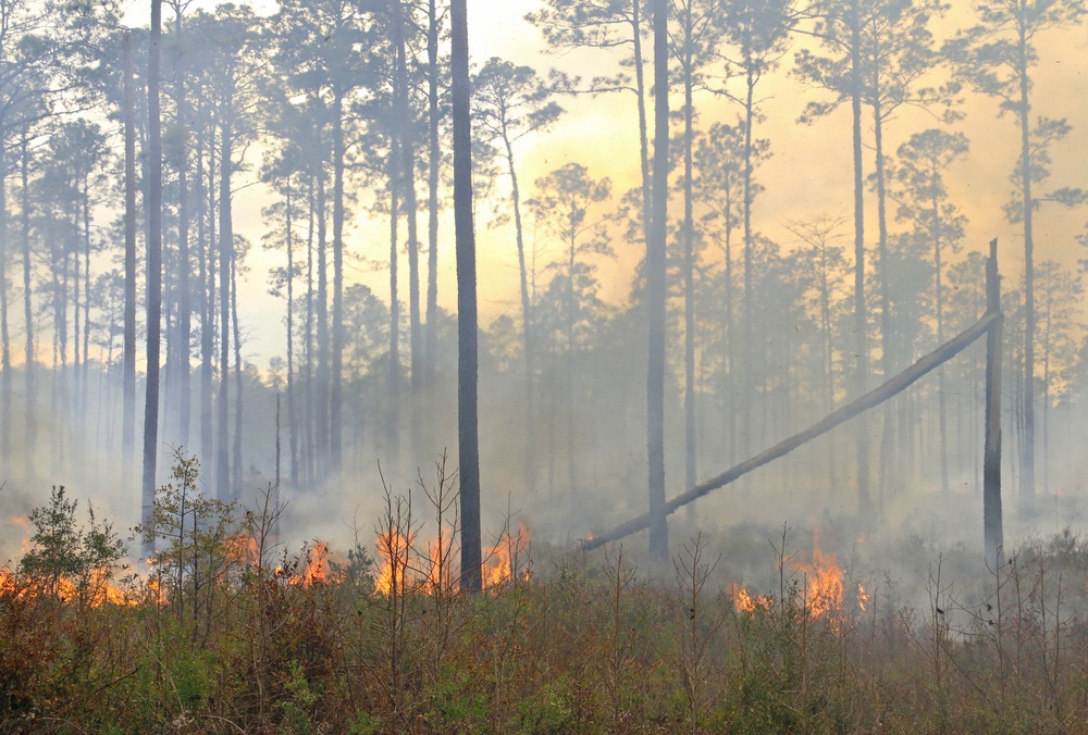 Controlled burns improve training areas, habitats, prevents wildfires
