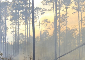 Controlled burns improve training areas, habitats, prevents wildfires