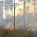 Controlled burns improve training areas, habitats, prevents wildfires