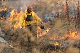 Controlled burns improve training areas, habitats, prevent wildfires