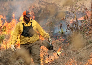 Controlled burns improve training areas, habitats, prevent wildfires