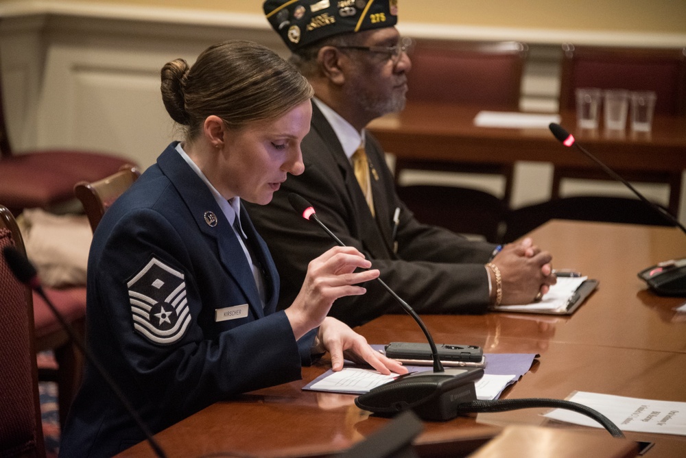 JBA commander, 11 MDSS speak to state assembly on updated military spouse reciprocity