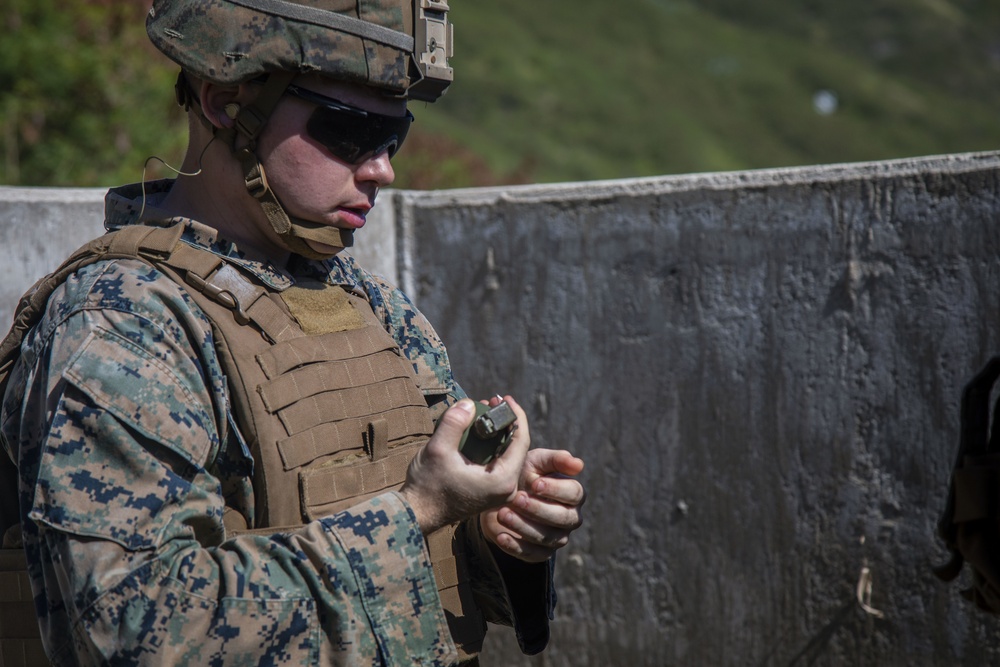 FRAG OUT!: C Battery 1/12 participates in grenade range
