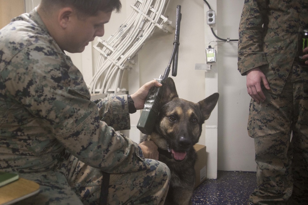 31st MEU Marines conduct Corporals Course professional military education aboard the USS America