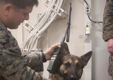 31st MEU Marines conduct Corporals Course professional military education aboard the USS America