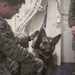 31st MEU Marines conduct Corporals Course professional military education aboard the USS America