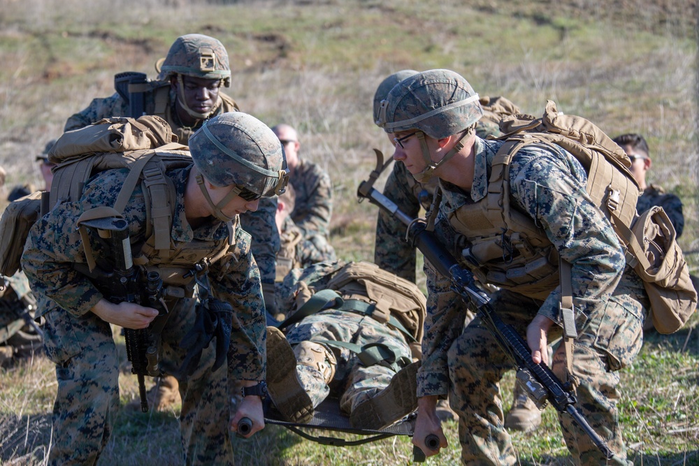 Simulated casualty evacuation training during Exercise Alexander the Great 2020