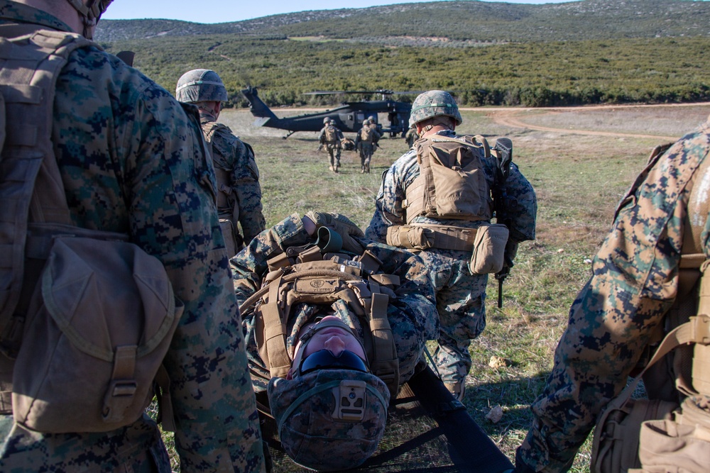 Simulated casualty evacuation training during Exercise Alexander the Great 2020