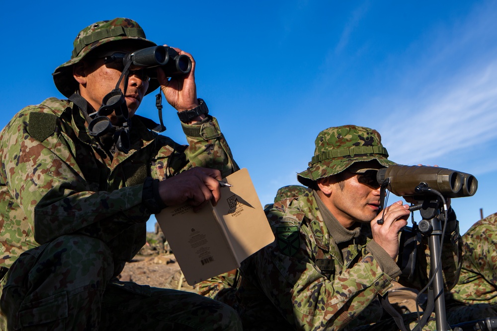 Iron Fist 2020: 1st ANGLICO and JGSDF call for fire on San Clemente Island