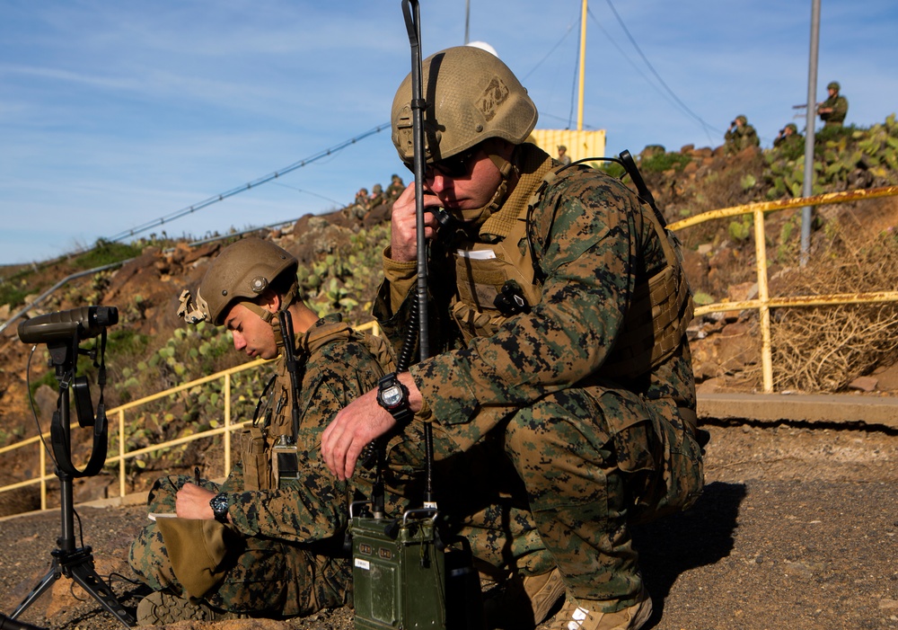 Iron Fist 2020: 1st ANGLICO and JGSDF call for fire on San Clemente Island