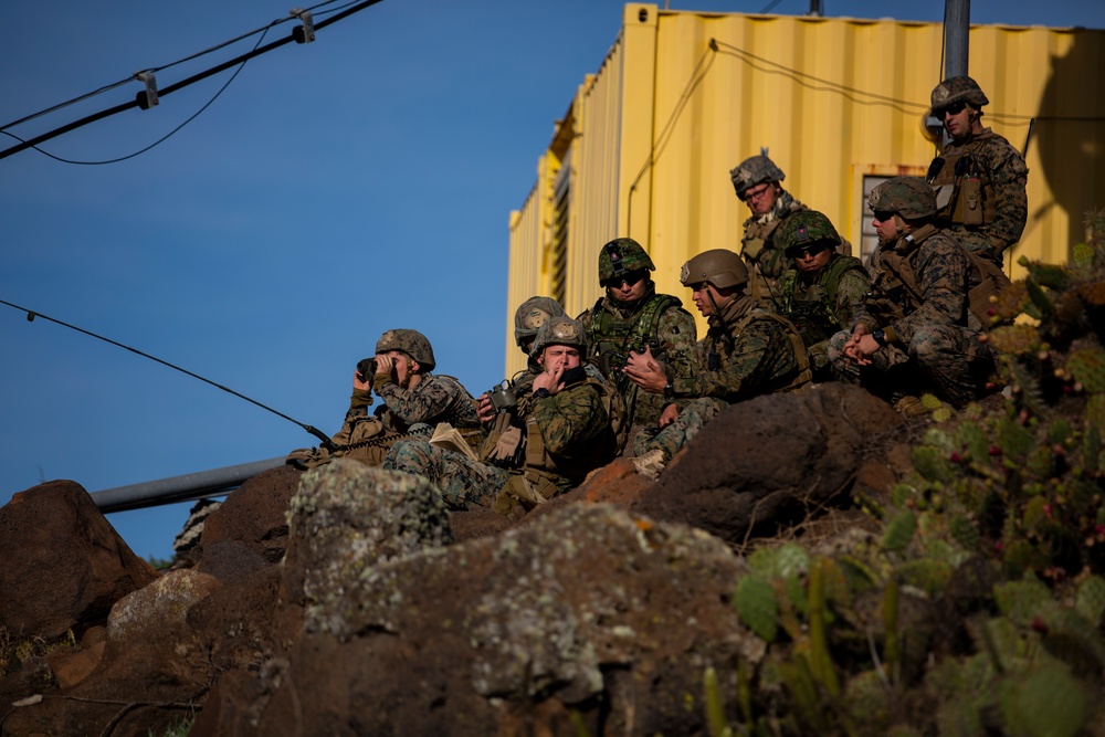 Iron Fist 2020: 1st ANGLICO and JGSDF call for fire on San Clemente Island
