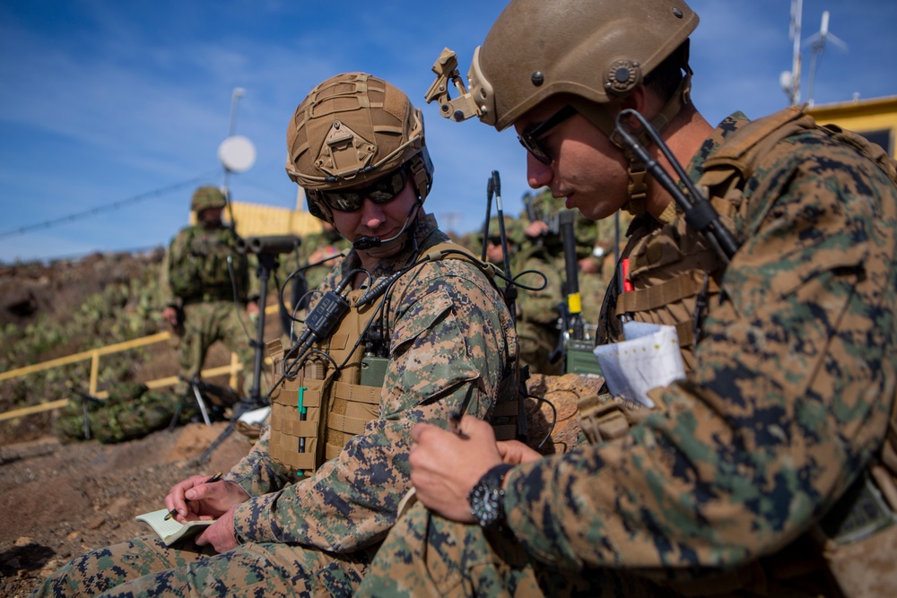 Iron Fist 2020: 1st ANGLICO and JGSDF call for fire on San Clemente Island
