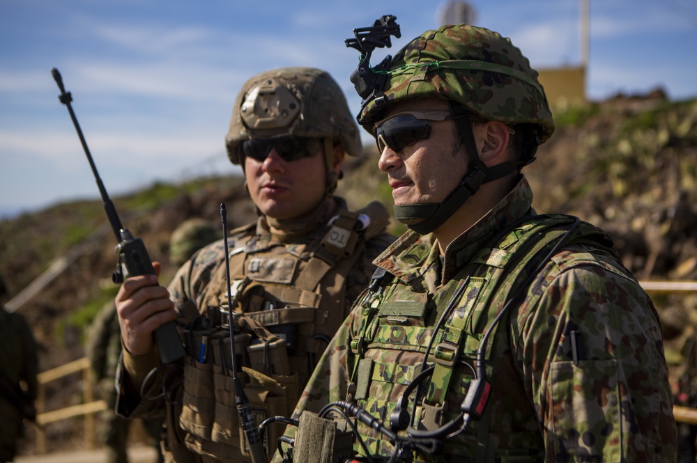Iron Fist 2020: 1st ANGLICO and JGSDF call for fire on San Clemente Island