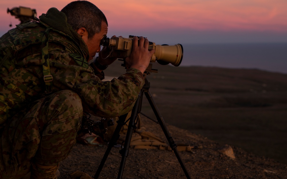 Iron Fist 2020: 1st ANGLICO and JGSDF call for fire on San Clemente Island