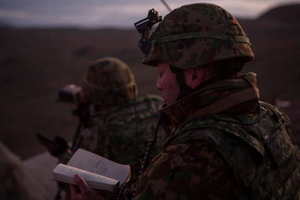 Iron Fist 2020: 1st ANGLICO and JGSDF call for fire on San Clemente Island