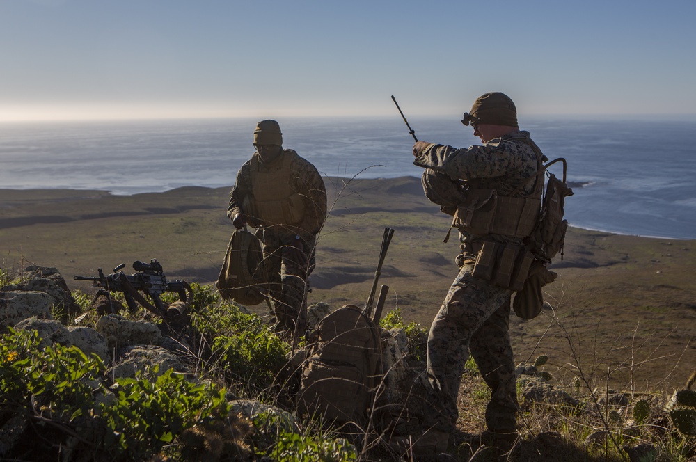 Iron Fist 2020: 1st ANGLICO and JGSDF call for fire on San Clemente Island