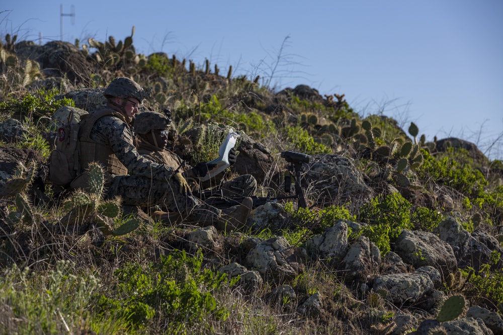 Iron Fist 2020: 1st ANGLICO and JGSDF call for fire on San Clemente Island