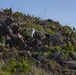 Iron Fist 2020: 1st ANGLICO and JGSDF call for fire on San Clemente Island