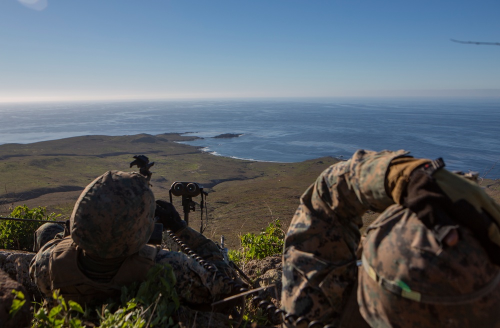 Iron Fist 2020: 1st ANGLICO and JGSDF call for fire on San Clemente Island