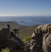 Iron Fist 2020: 1st ANGLICO and JGSDF call for fire on San Clemente Island