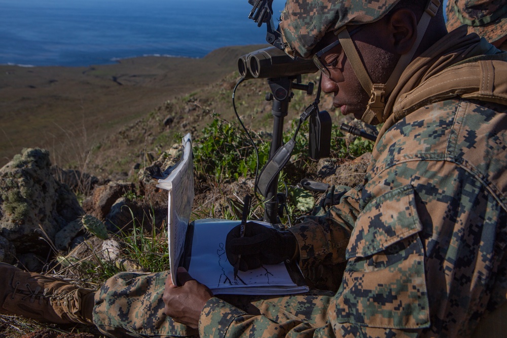 Iron Fist 2020: 1st ANGLICO and JGSDF call for fire on San Clemente Island