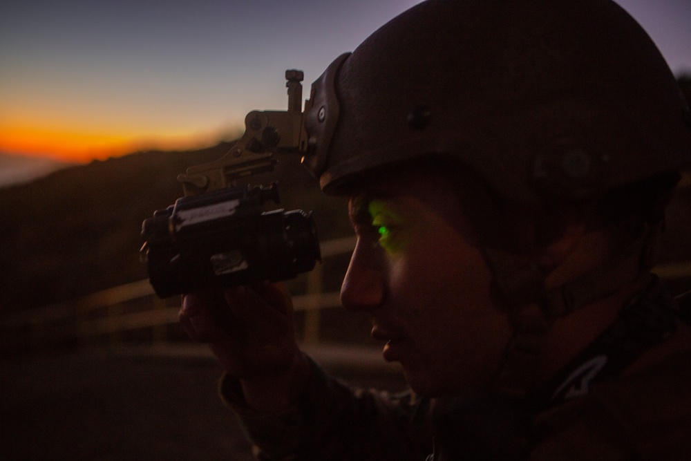 Iron Fist 2020: 1st ANGLICO and JGSDF call for fire on San Clemente Island