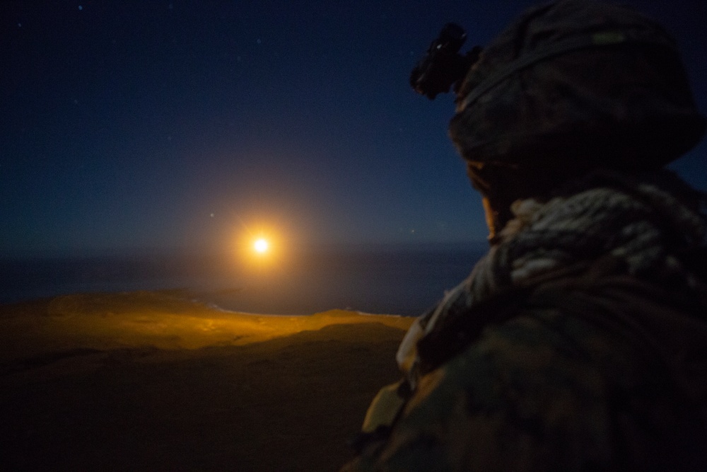 Iron Fist 2020: 1st ANGLICO and JGSDF call for fire on San Clemente Island