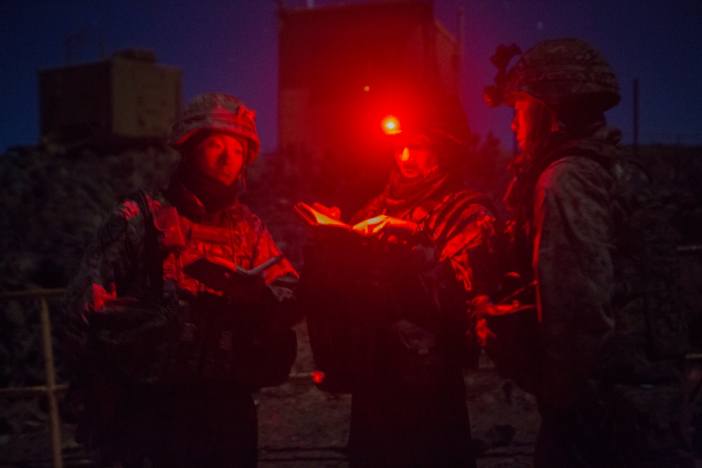 Iron Fist 2020: 1st ANGLICO and JGSDF call for fire on San Clemente Island
