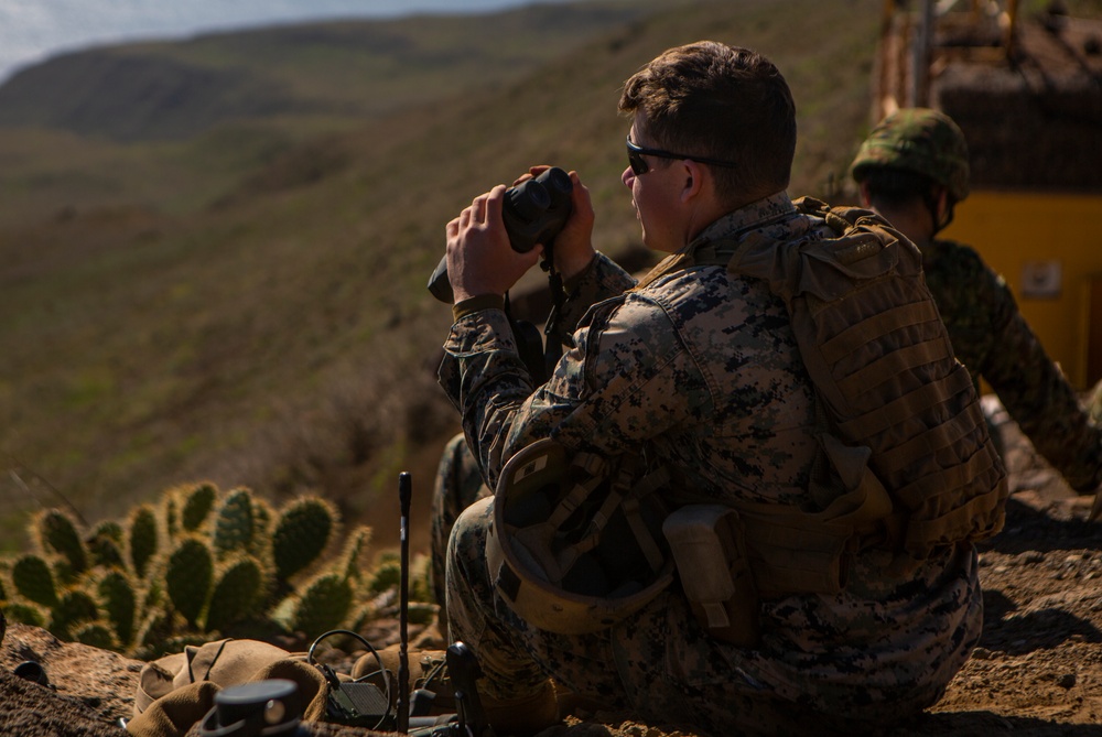 Iron Fist 2020: 1st ANGLICO and JGSDF call for fire on San Clemente Island