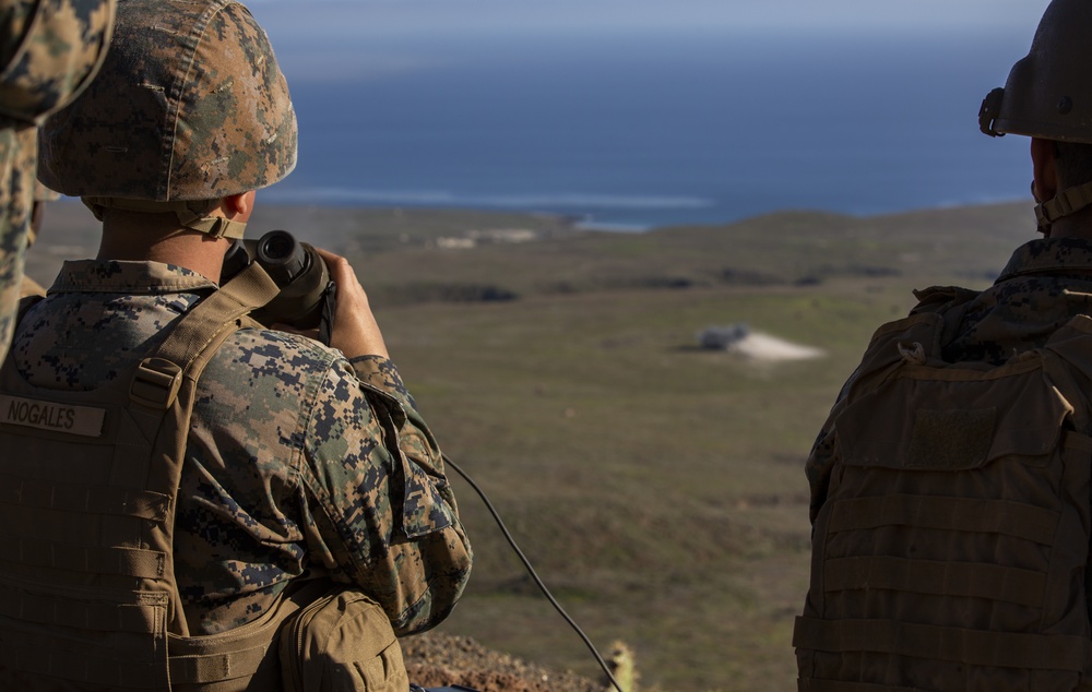 Iron Fist 2020: 1st ANGLICO and JGSDF San Clemente Island