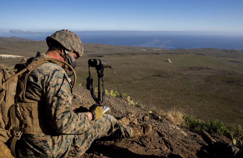 Iron Fist 2020: 1st ANGLICO and JGSDF call for fire on San Clemente Island