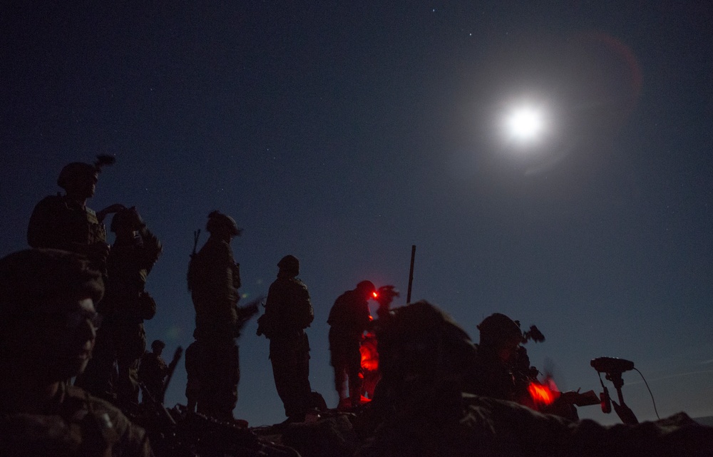 Iron Fist 2020: 1st ANGLICO and JGSDF call for fire on San Clemente Island