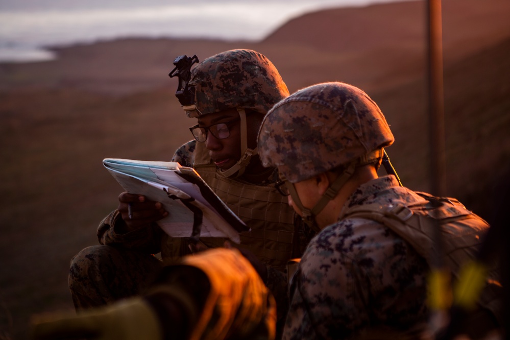 Iron Fist 2020: 1st ANGLICO and JGSDF San Clemente Island