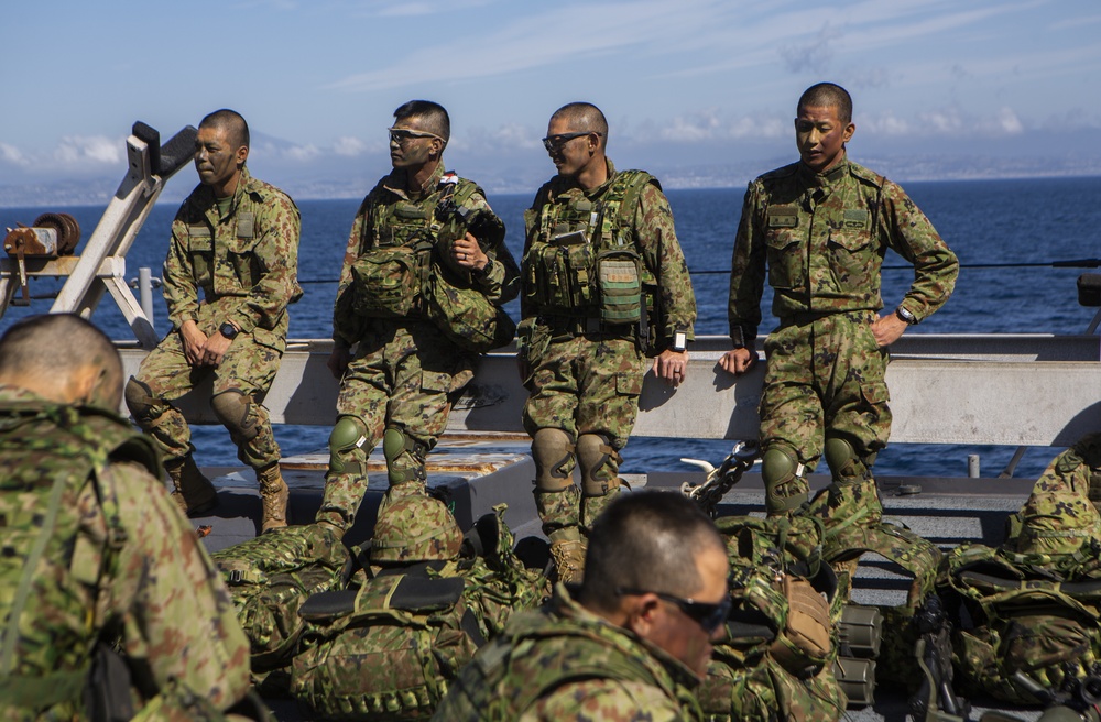 Iron Fist 2020: JGSDF and 1st ANGLICO Conduct Aerial Assualt